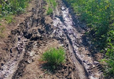 येवला ग्रामीण रस्त्यांची दुरावस्था…  स्पेशल पर्पज व्हेइकल इंजिन स्थापना करून मिशन मोडवर रस्ते दुरुस्ती करा… भागवतराव सोनवणे यांची मागणी