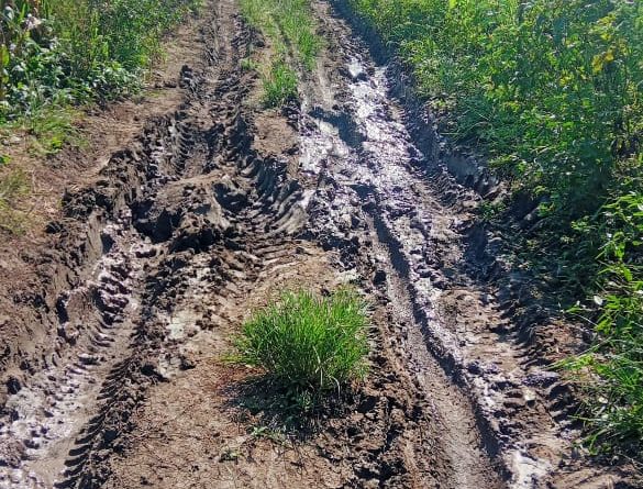 येवला ग्रामीण रस्त्यांची दुरावस्था…  स्पेशल पर्पज व्हेइकल इंजिन स्थापना करून मिशन मोडवर रस्ते दुरुस्ती करा… भागवतराव सोनवणे यांची मागणी