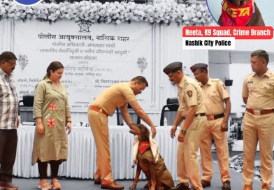 निःशब्द सेवेला सलाम… गुन्हे शोधक श्वान “नीता”ला नाशिक पोलिसांचा भावपूर्ण निरोप निःशब्द सेवेला सलाम… गुन्हे शोधक श्वान “नीता”ला नाशिक पोलिसांचा भावपूर्ण निरोप
