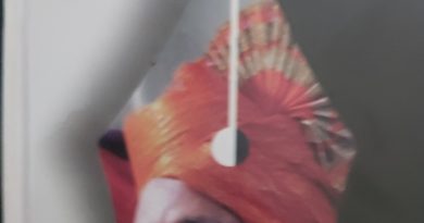 सत्तेसाठी सारेच उपाशी…….!  झालेत सगळेच भिकारी…….!!
